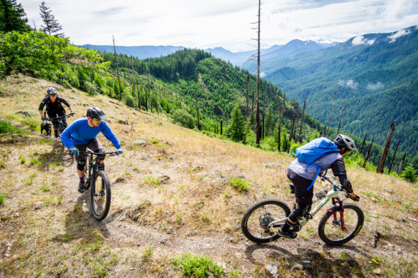 A guide leads a group on a guided mountain bike ride near Oakridge, Oregon. 