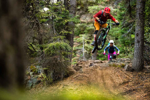 A mountain biker jumps over rocks on a forested trail. 