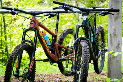 The image shows two mountain bikes as a way to promote Cog Wild's rental bikes. 