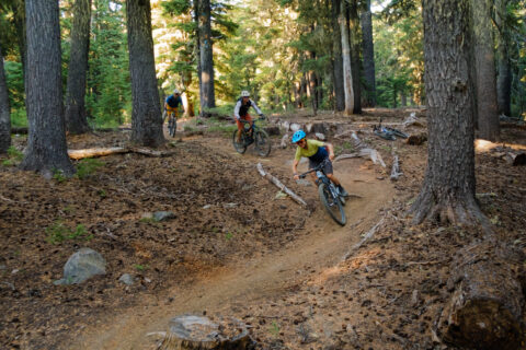 Mountain bikers ride a forested trail near Bend, Oregon.