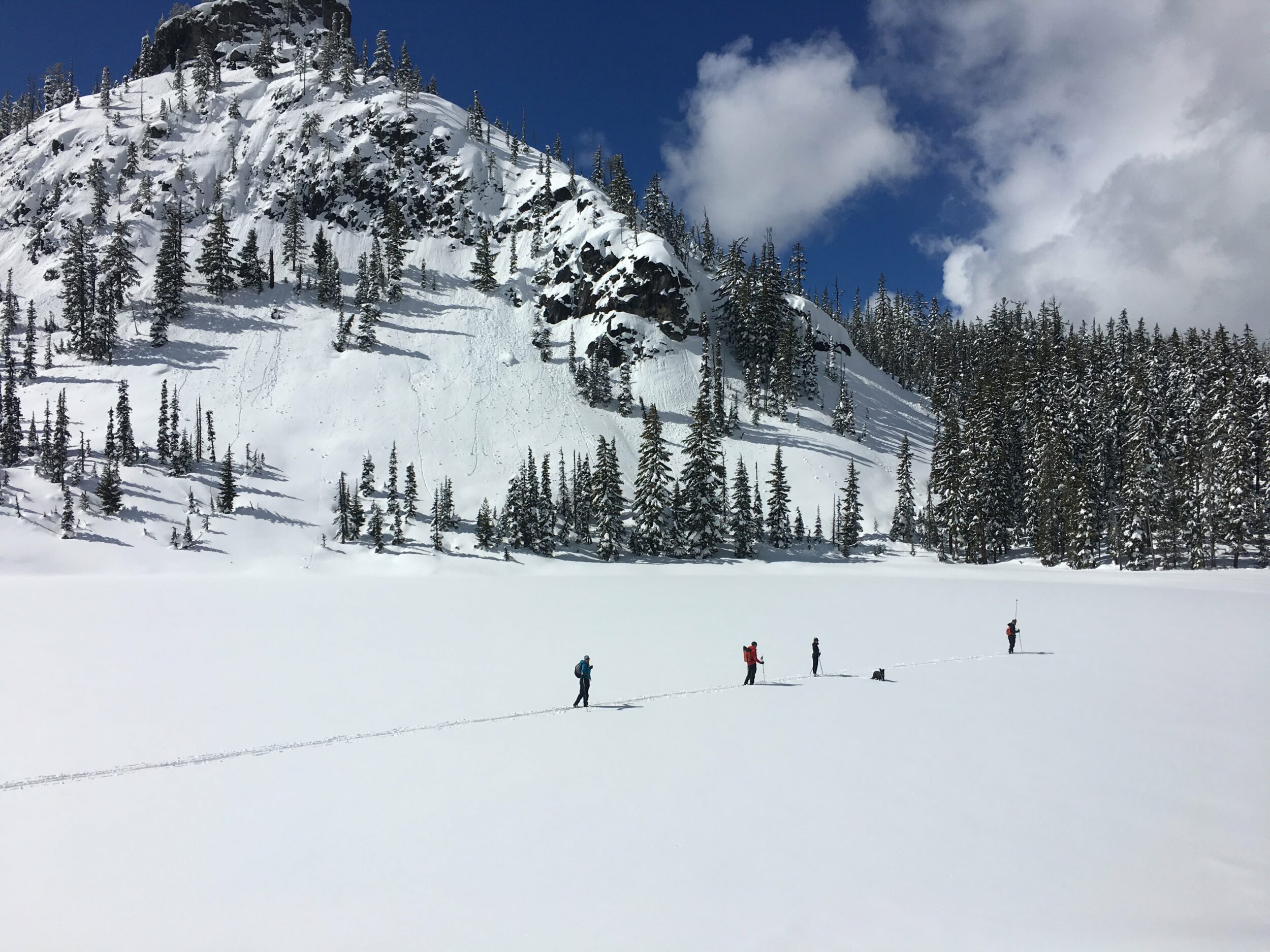 A group of backcountry nordic skiers traverse an open snow field in Oregon