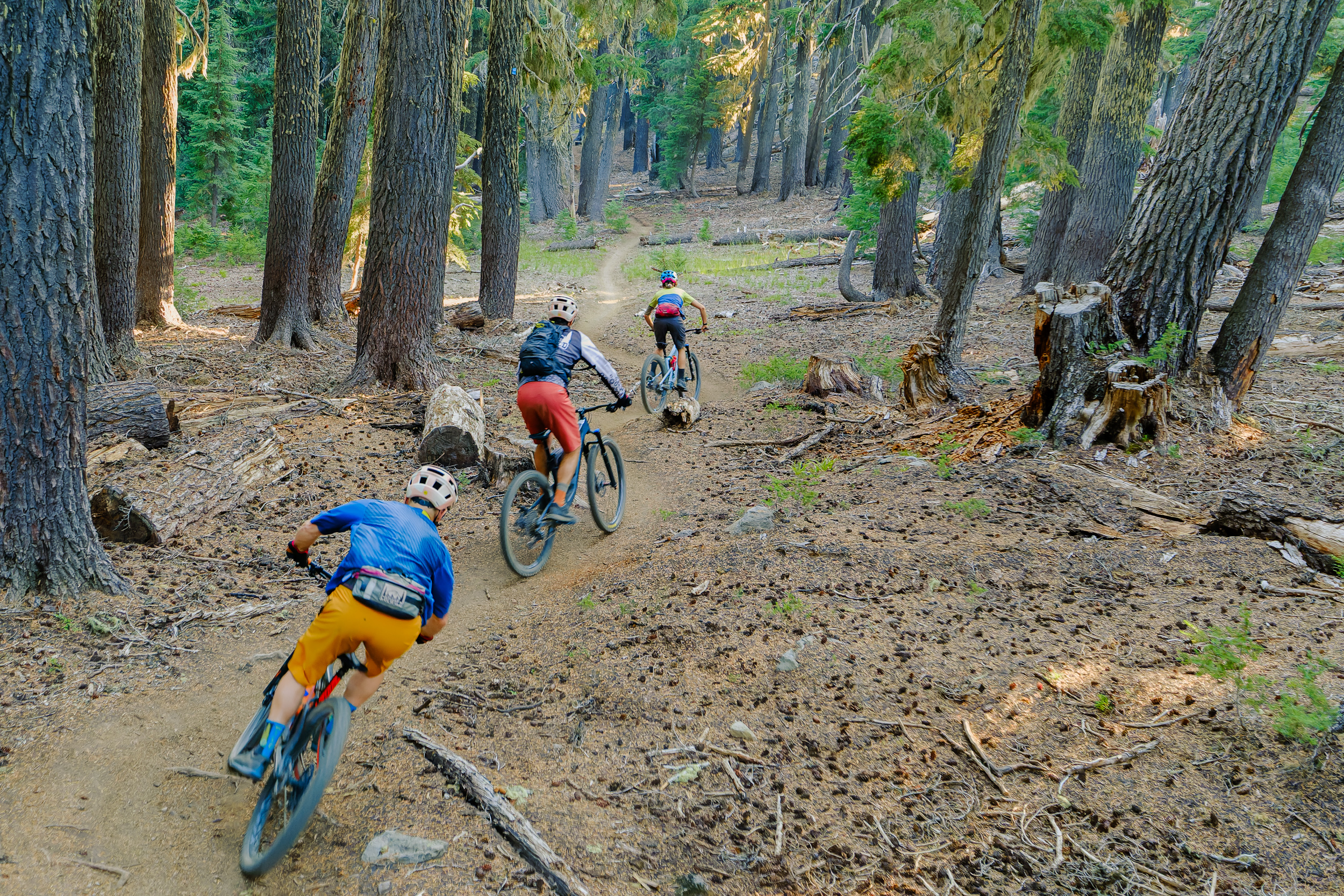 A group of mountain bikers descends the on a forested single track trail near Bend, Oregon